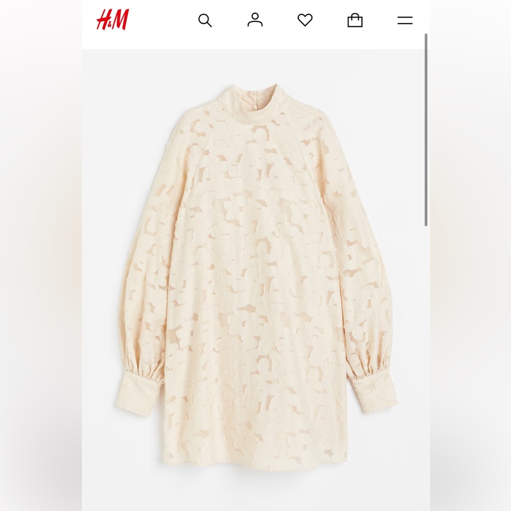 H&M beautiful dress